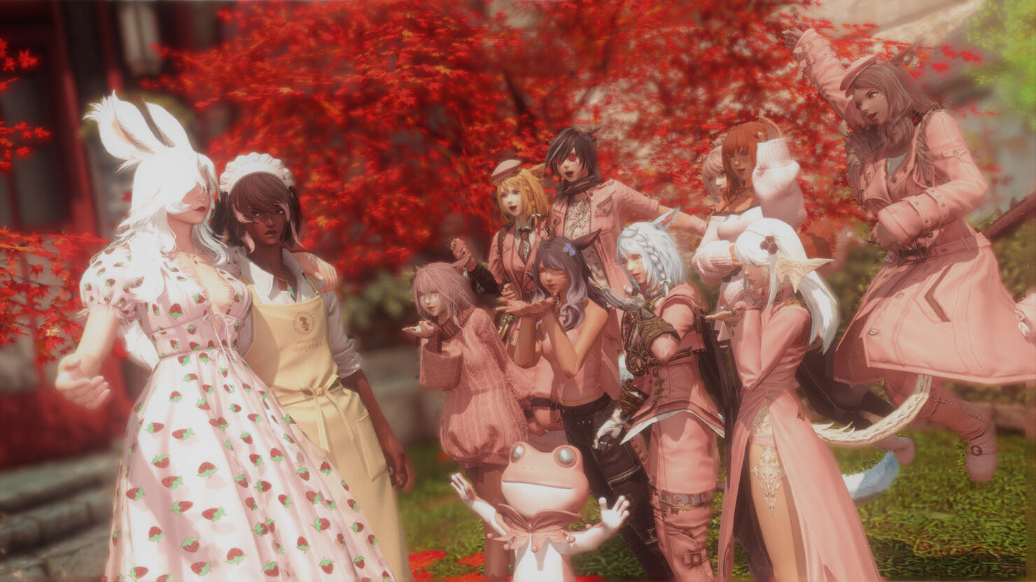 Dodo's birthday (2024)